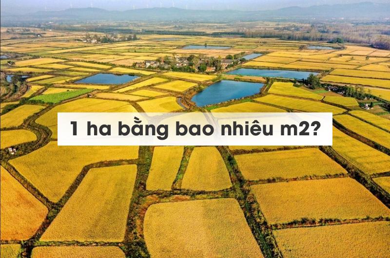 So sánh trực quan diện tích 1 cm vuông và 1 mét vuông trong đời sống
